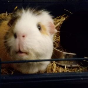 Meet your Posher, Phil